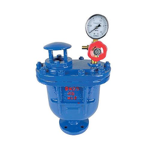 CARX複(fú)合式排(pái)氣閥